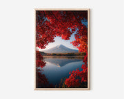 Mount Fuji Autumn Red Maple Reflection Wall Art Print | Japan Lake Kawaguchiko Photography | Fuji Momiji Landscape Poster