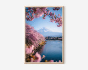 Mount Fuji Cherry Blossom Sakura River Wall Art Print | Japan Spring Landscape Photography Poster | Japanese Nature Decor