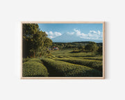 Mount Fuji Japan Wall Art Print – Scenic Landscape Photography Canvas