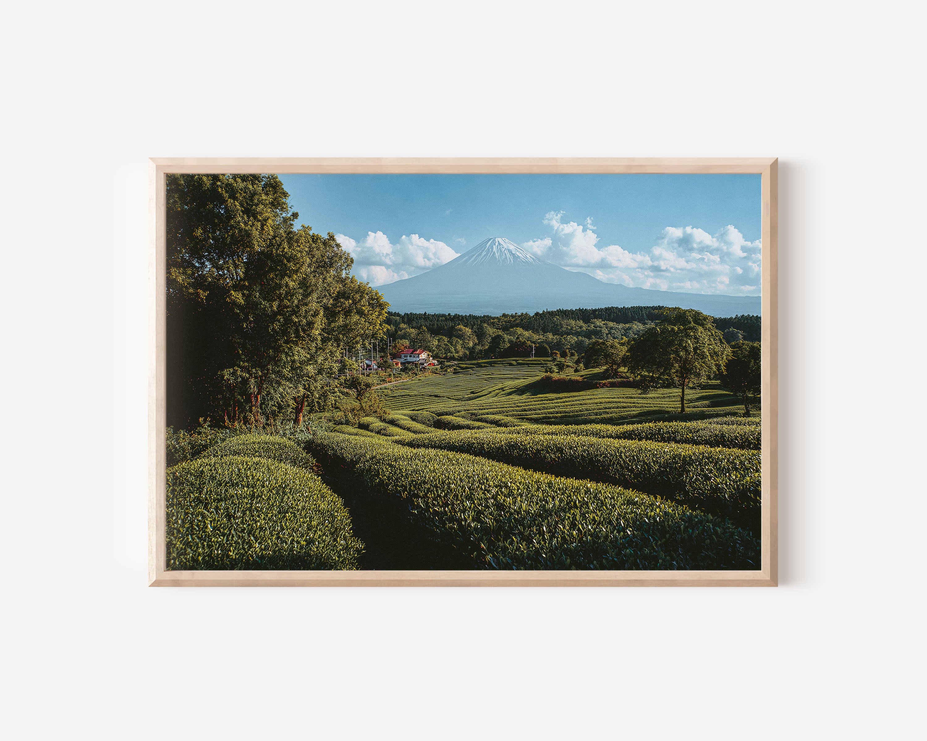 Mount Fuji Japan Wall Art Print – Scenic Landscape Photography Canvas