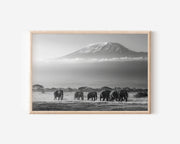 Mount Kilimanjaro Elephants Black & White Wall Art Print