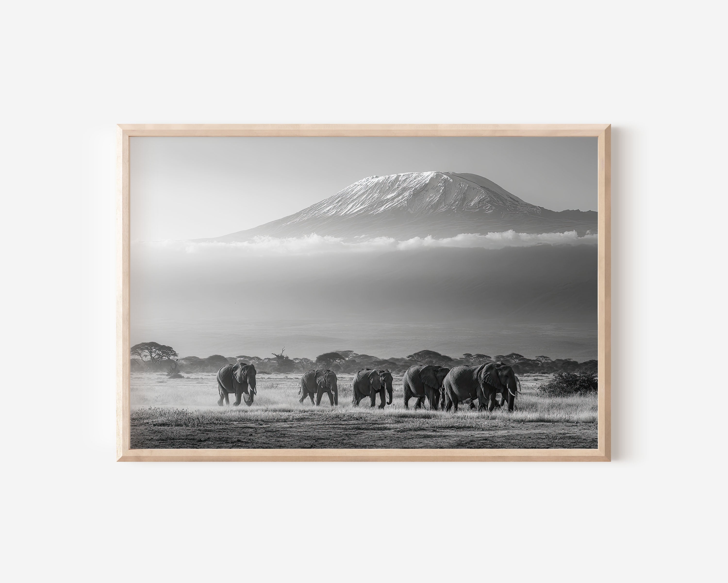 Mount Kilimanjaro Elephants Black & White Wall Art Print