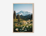 Mount Rainier Wildflower Meadow Wall Art Print | Pacific Northwest Summer Alpine Photography | Washington State Travel Poster | Nature Home Decor