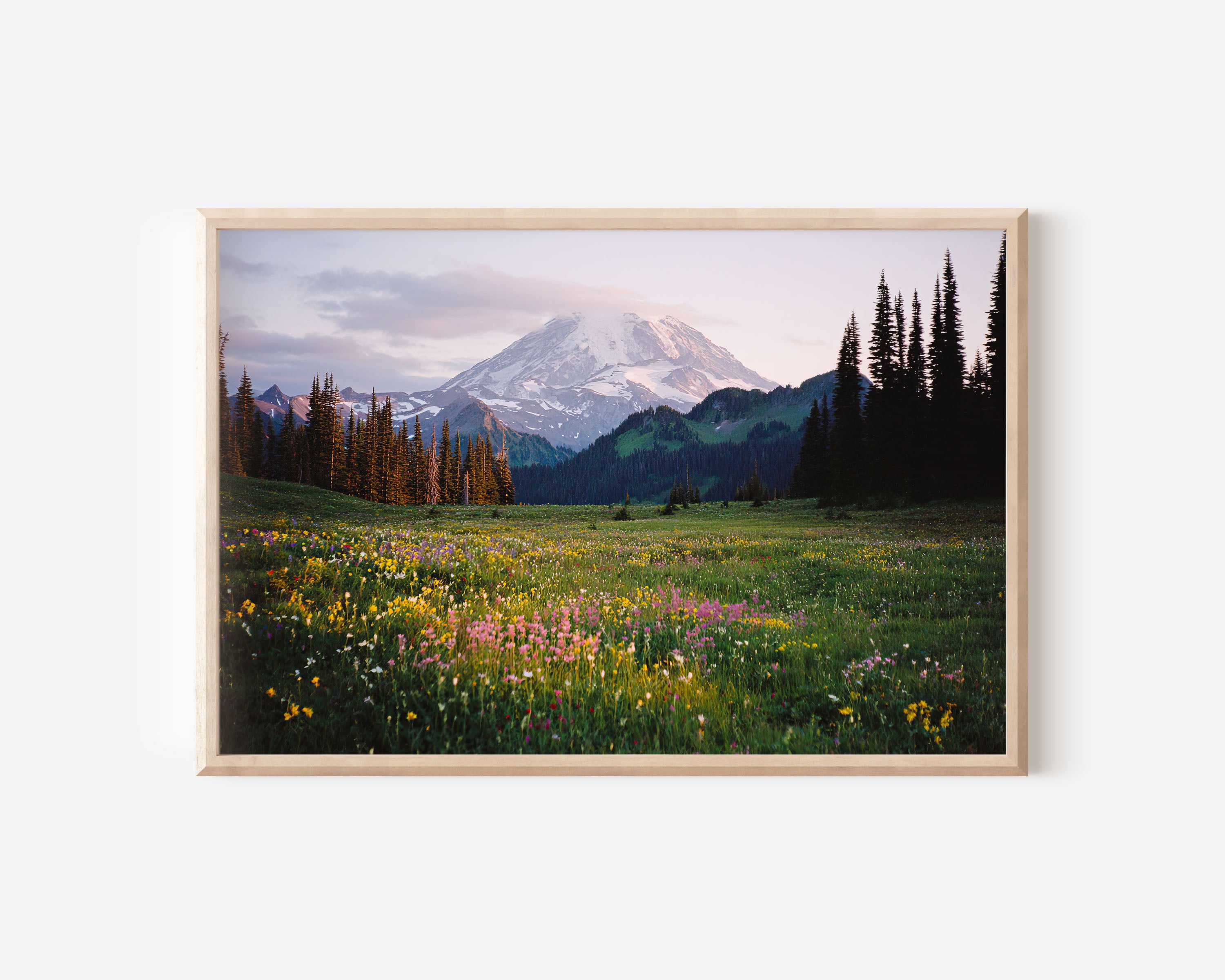 Mount Rainier Wildflower Meadow Wall Art Print