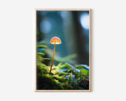 Glowing Forest Mushroom Macro Wall Art Print | Enchanted Woodland Fungi Photography | Moss Bokeh Nature Poster