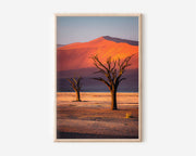Namib Desert Dead Trees Red Sand Dunes Sunrise Deadvlei Namibia Wall Art Print | Africa Desert Landscape Photography Poster | Minimalist Nature Decor