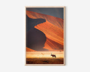 Namibia Oryx Desert Dunes Wall Art Print | African Wildlife Photography | Sossusvlei Nature Home Decor