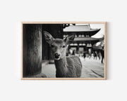 Nara Deer Temple Japan Wall Art Print, Black White Wildlife