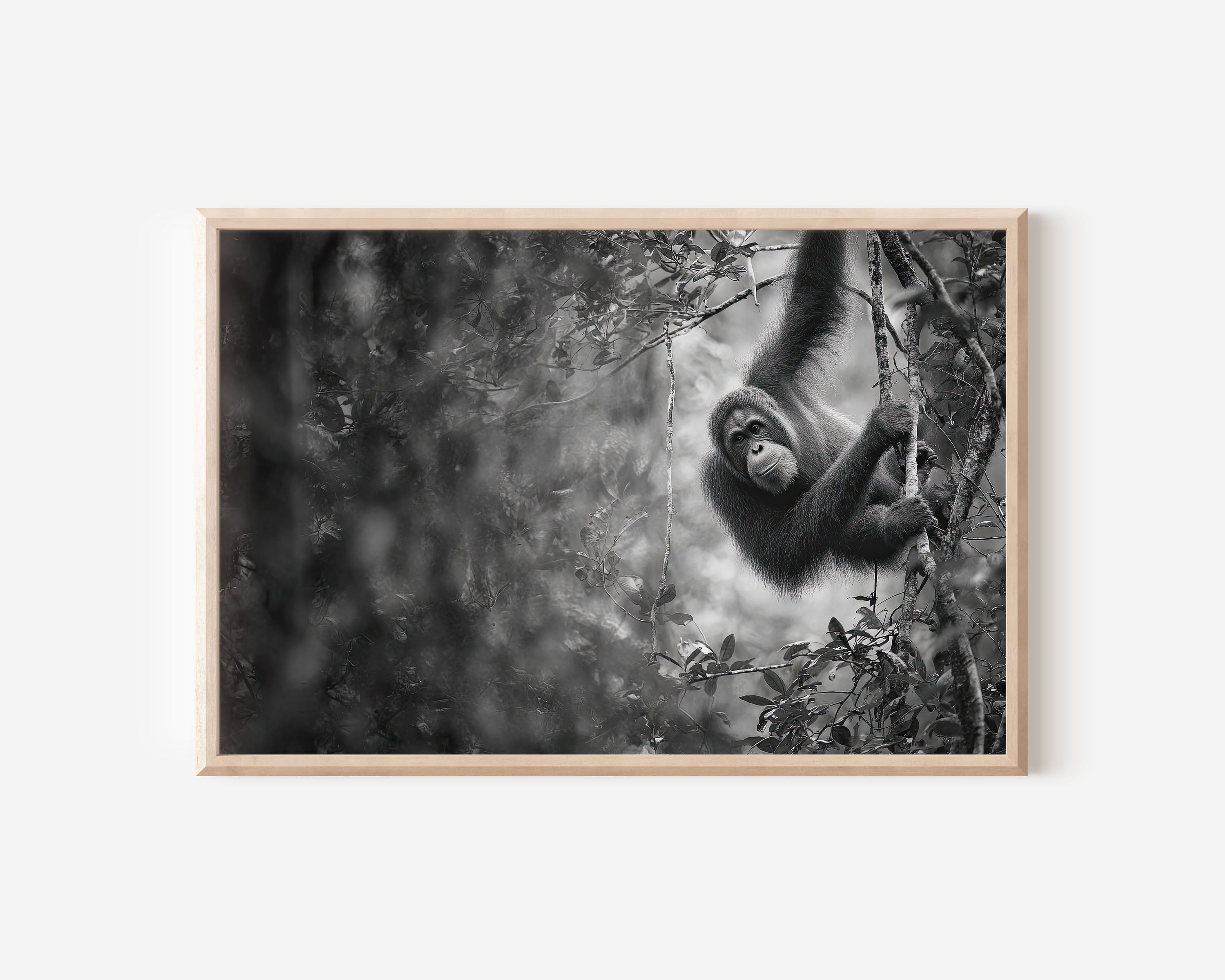 Orangutan Black & White Wildlife Wall Art