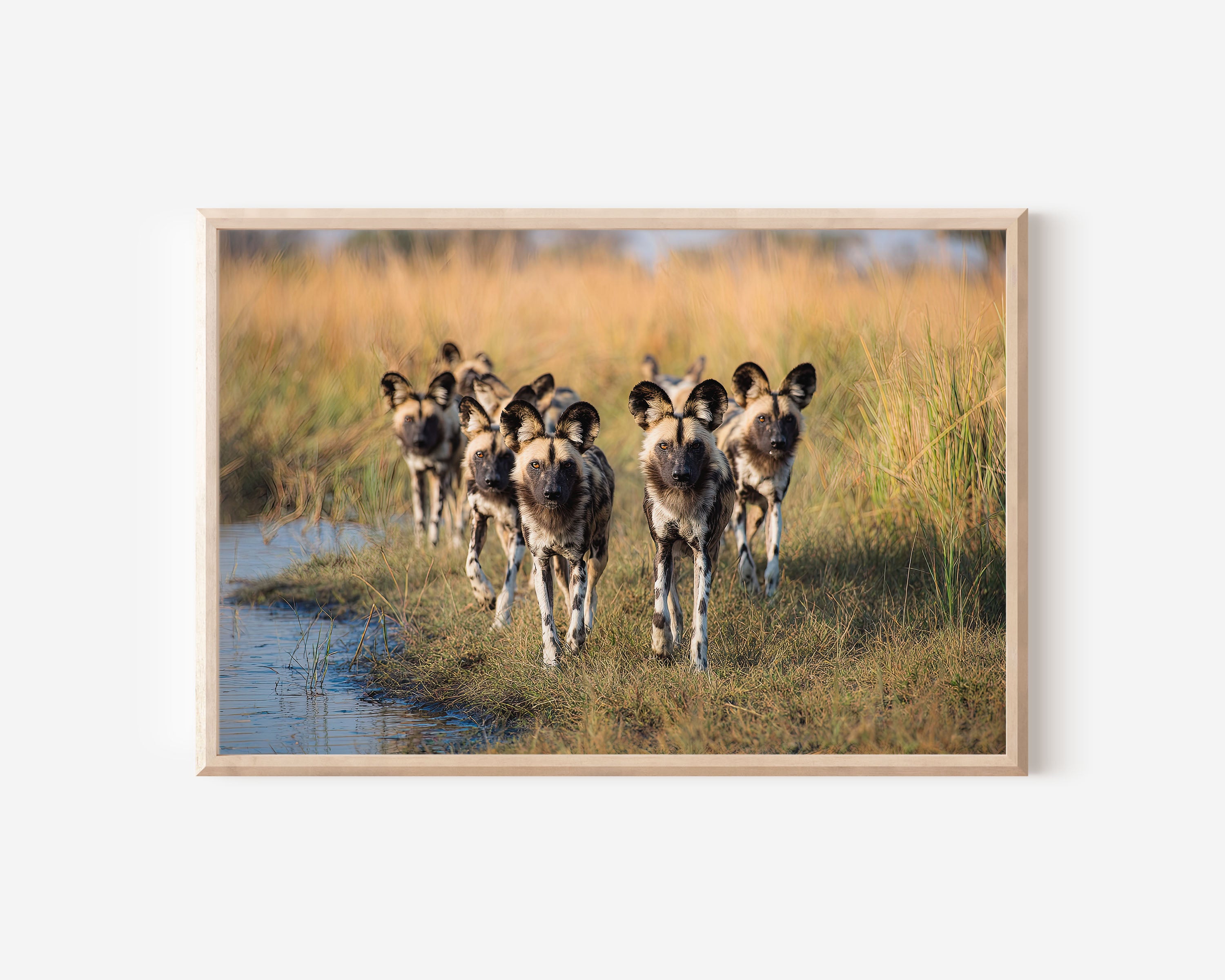 Painted Hunters – African Wild Dog Pack Wall Art Print