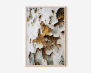 Peeling White Paint Texture Wall Art | Rustic Abstract Macro Photography Print | Neutral Tones Home Decor Poster