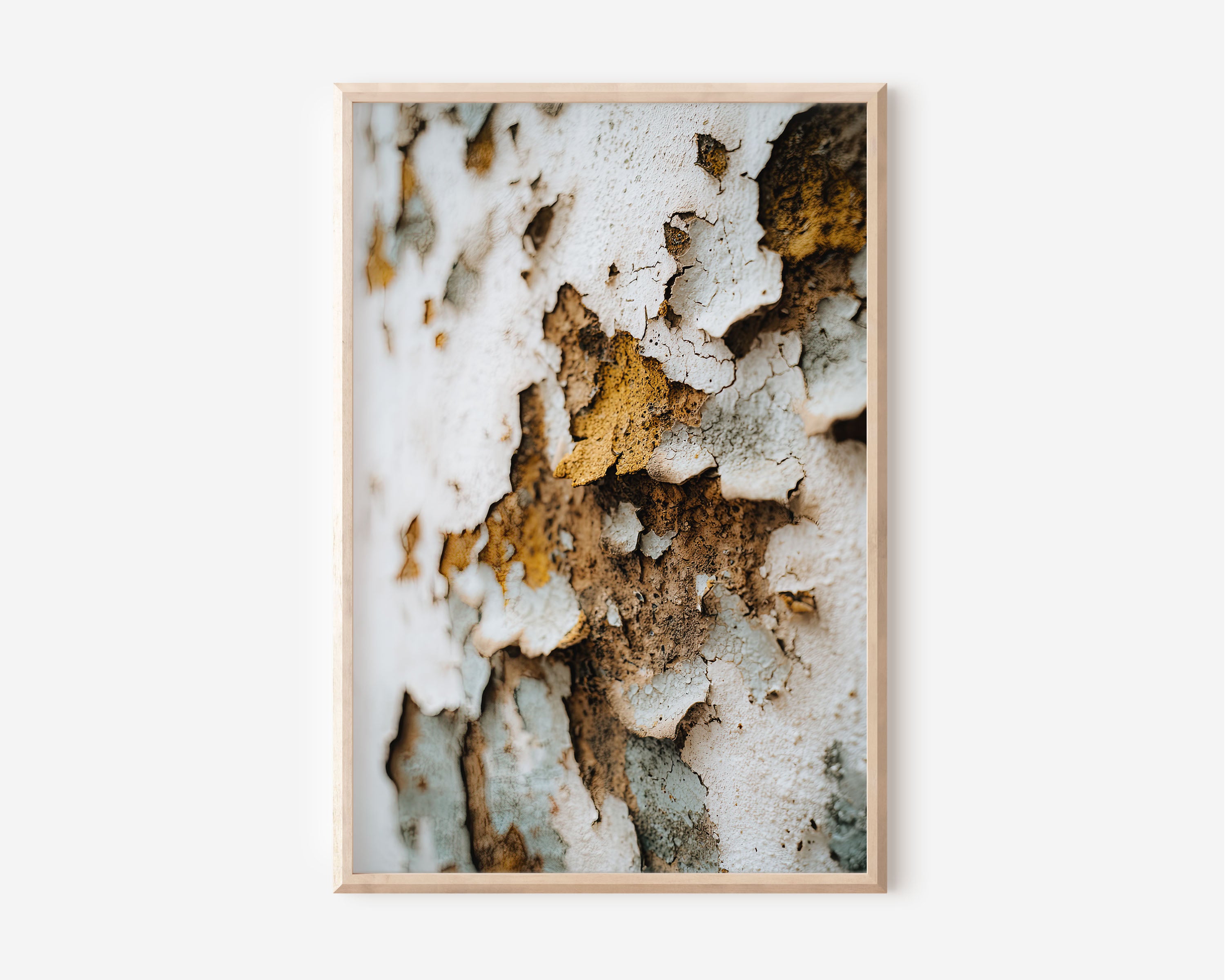 Peeling White Paint Texture Wall Art | Rustic Abstract Macro Photography Print | Neutral Tones Home Decor Poster