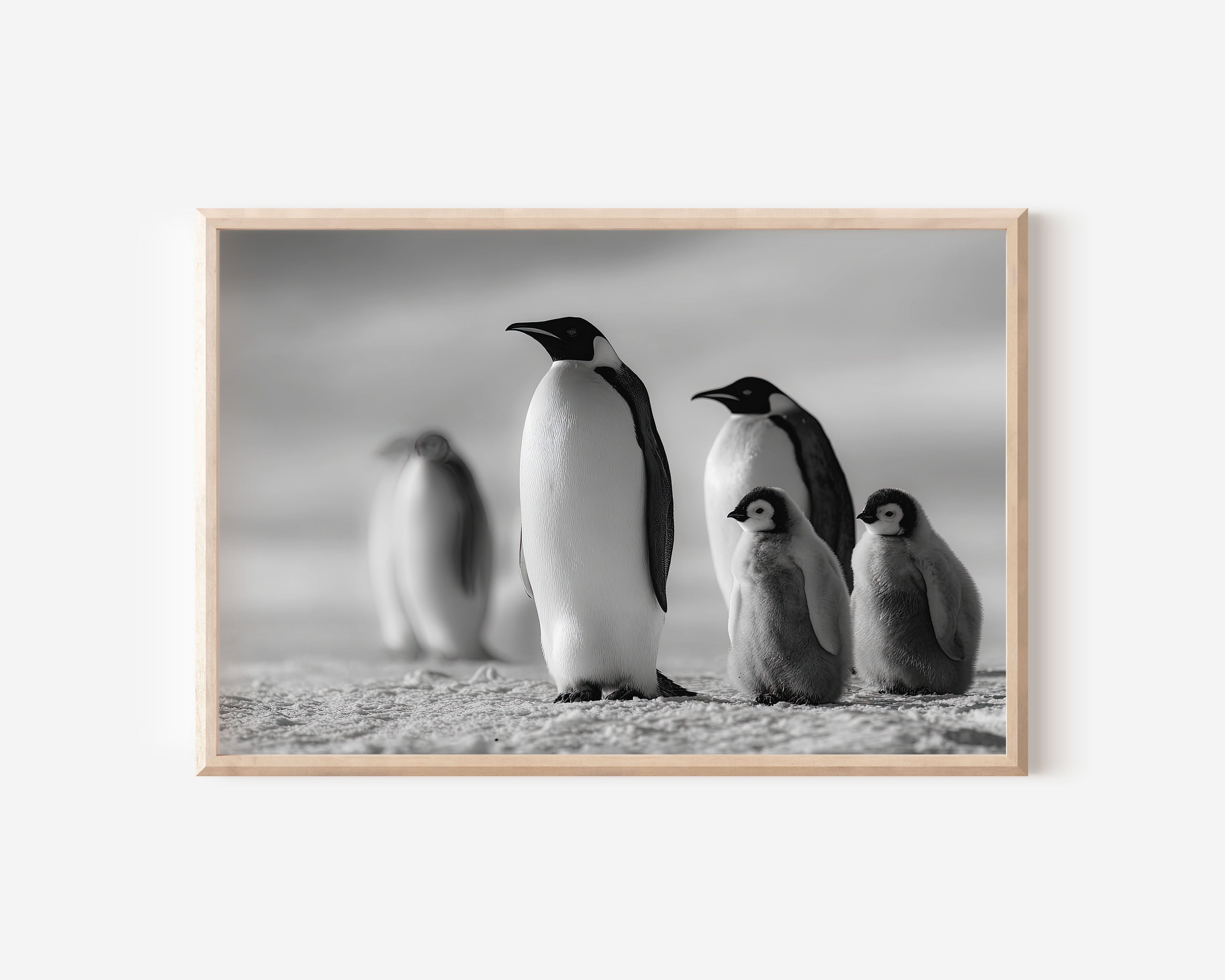 Penguin Family Black & White Wildlife Wall Art