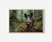 Wild Boar Wall Art – Forest Wildlife Photography Print