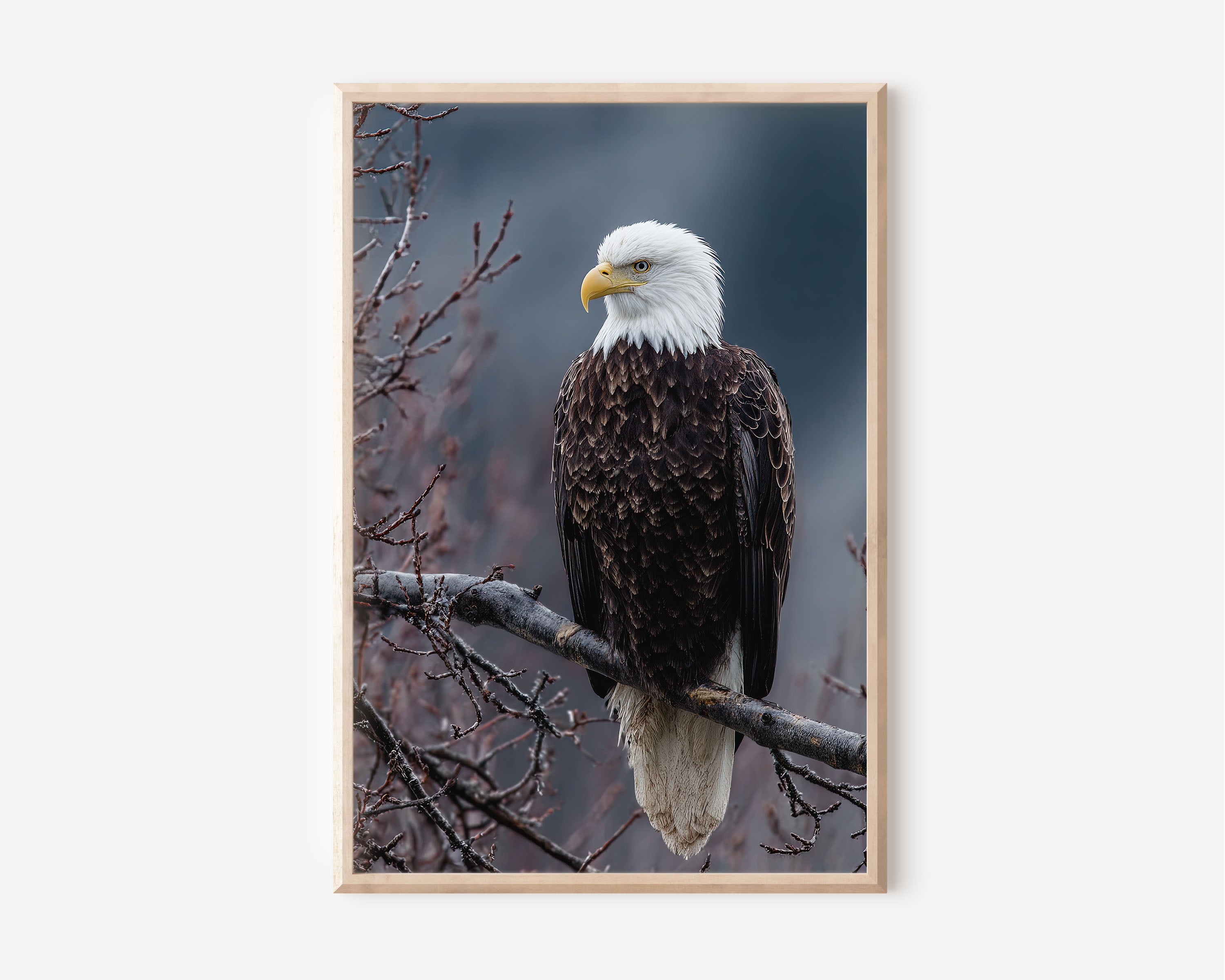 Bald Eagle Portrait Wall Art Print – Powerful Bird Canvas & Framed Wildlife Photography Decor