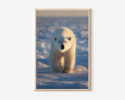 Polar Bear Wall Art Print – Arctic Wildlife Canvas & Framed Snow Landscape Animal Decor