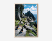 Puffin Colony Wall Art Print – Coastal Cliff Wildlife Canvas & Framed Ocean Landscape Decor