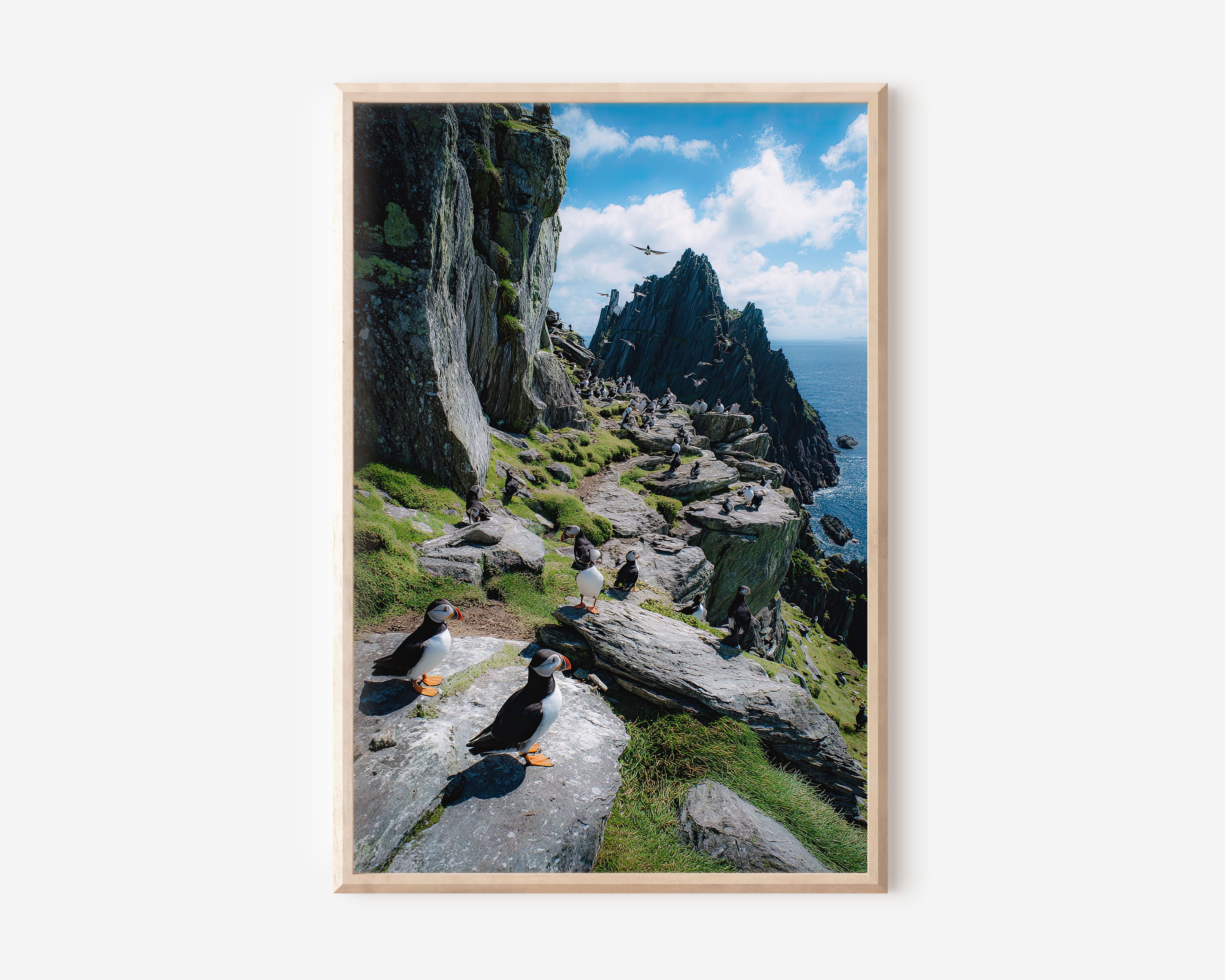 Puffin Colony Wall Art Print – Coastal Cliff Wildlife Canvas & Framed Ocean Landscape Decor