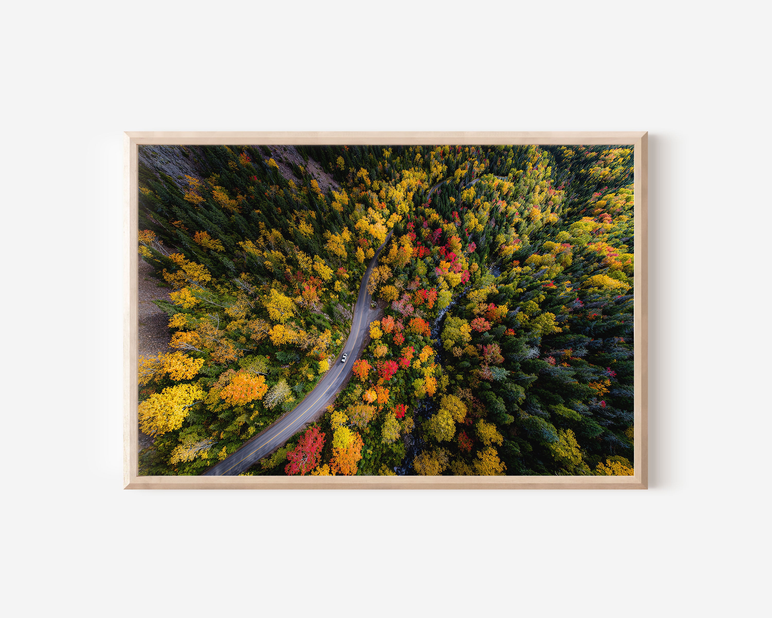 Quebec Autumn Forest Wall Art – Aerial Fall Foliage Winding Road Print