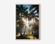 Rarotonga Palm Grove Sunburst | Cook Islands Tropical Wall Art Print