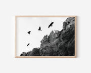 Ravens Over Cliffs Black & White Wall Art