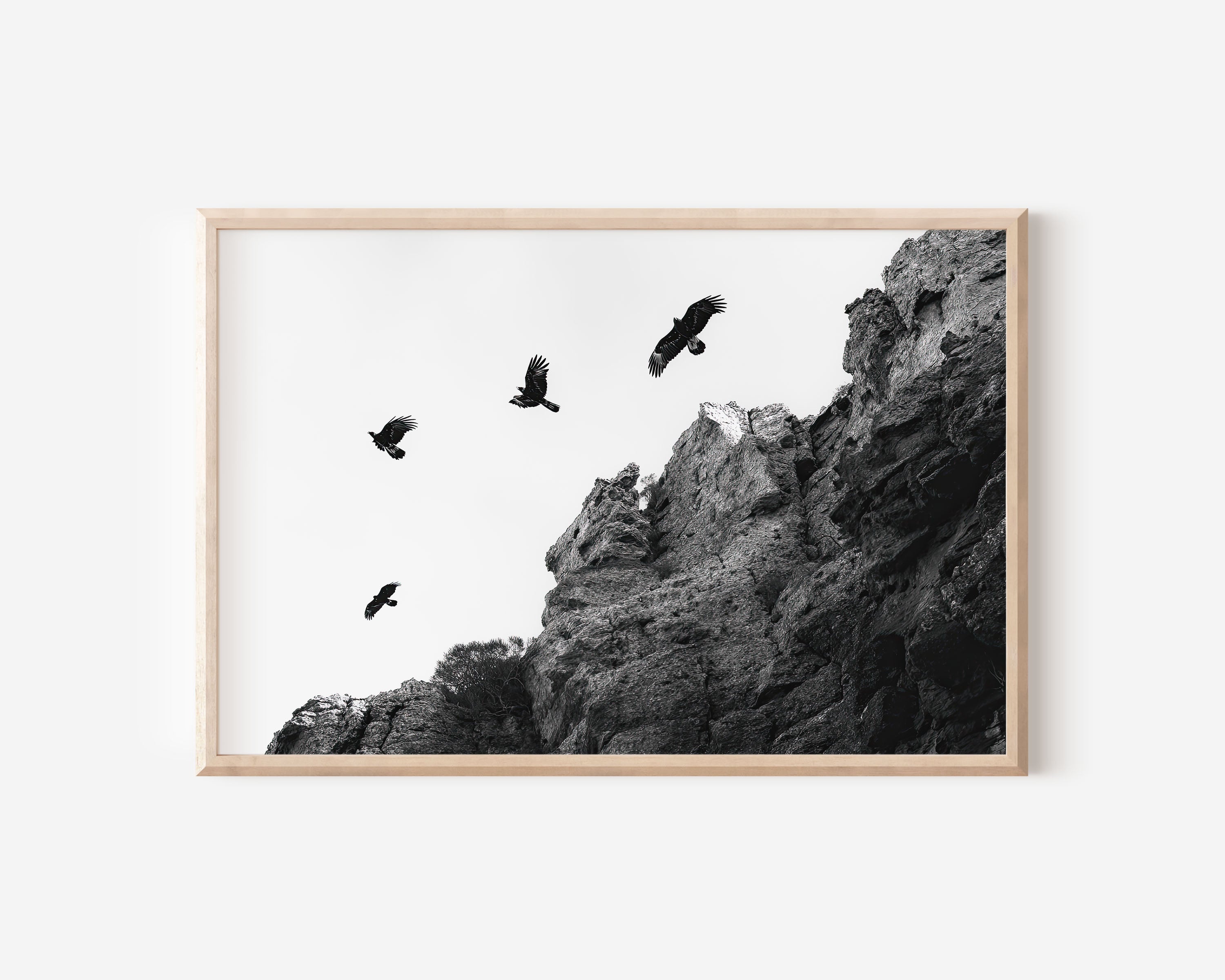 Ravens Over Cliffs Black & White Wall Art