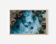 Reef Sharks Wall Art Print – Aerial Coastal Ocean Canvas