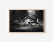Reindeer in Motion Black & White Wildlife Wall Art