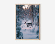 Reindeer Walking Through Snowy Pine Forest Lapland Finland Wall Art Print | Arctic Wildlife Photography Poster | Winter Nordic Nature Decor