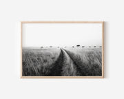 Safari Track Through African Savannah Tall Grass | Black & White Landscape Fine Art Print