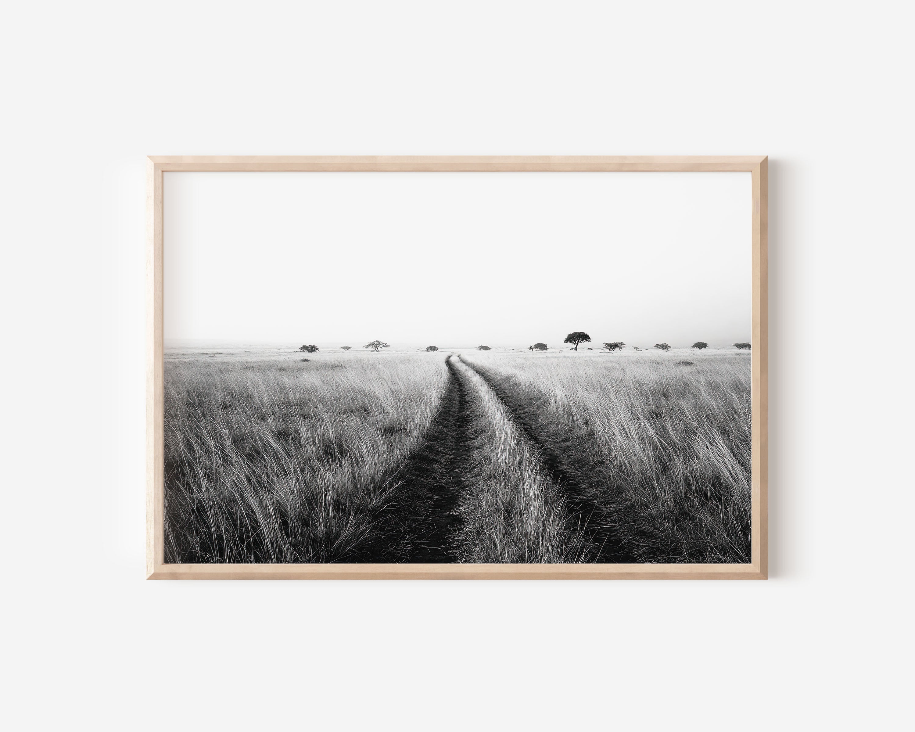 Safari Track Through African Savannah Tall Grass | Black & White Landscape Fine Art Print