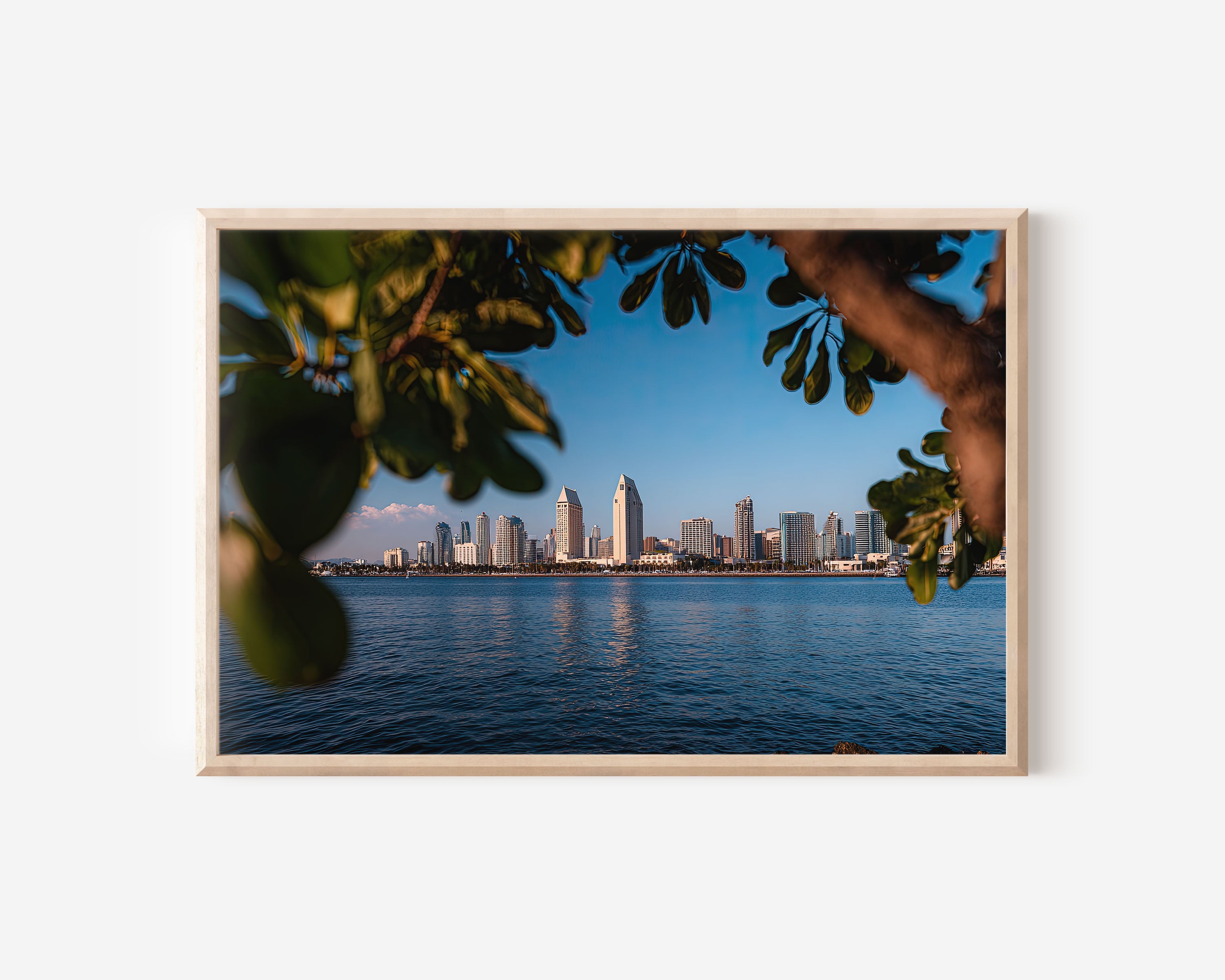 San Diego Skyline Wall Art Print | California Coastal Cityscape Photography