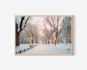 Sapporo Odori Park Winter Wall Art Print, Japan Snow Landscape