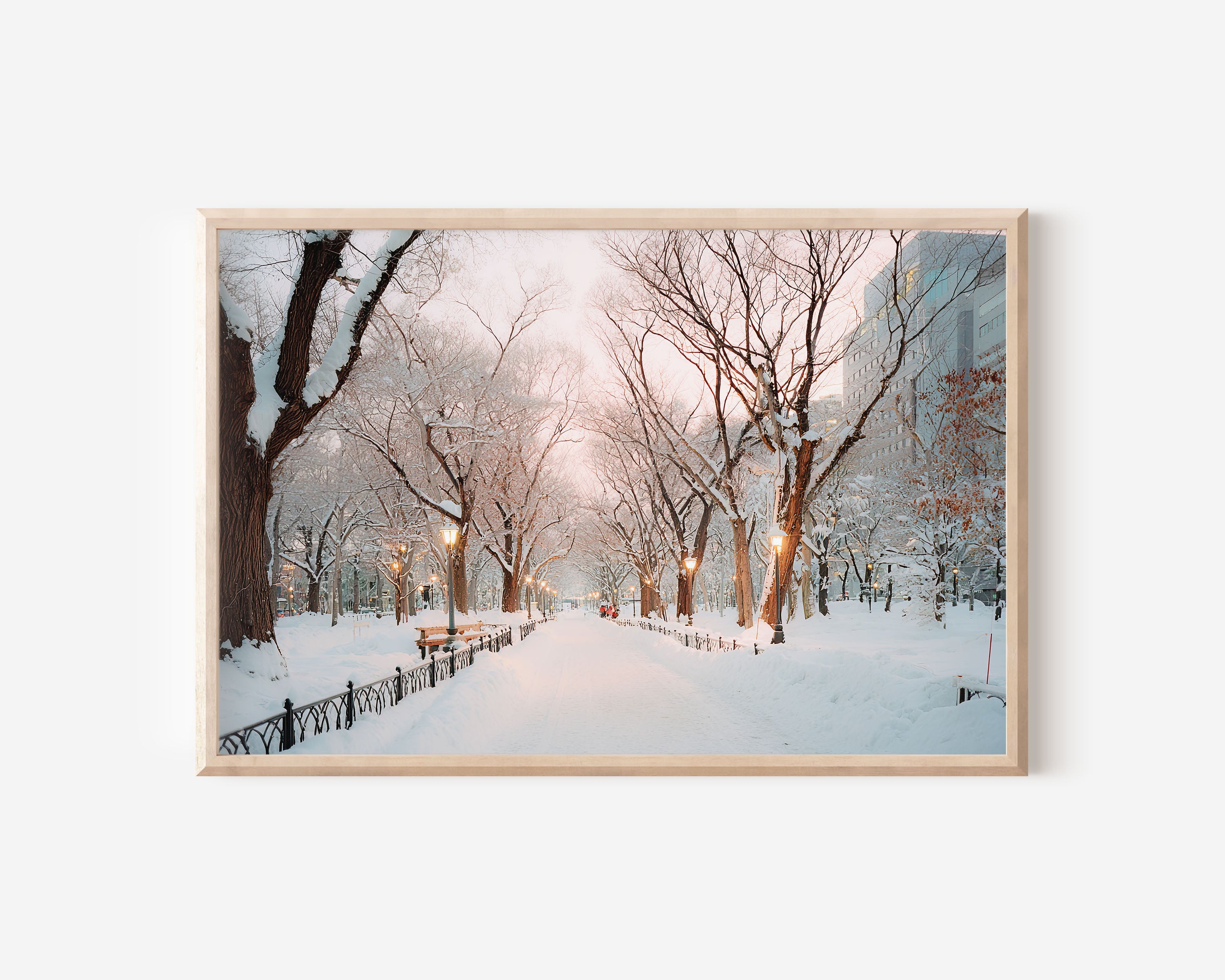Sapporo Odori Park Winter Wall Art Print, Japan Snow Landscape