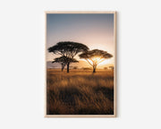 Serengeti Acacia Sunrise Wall Art Print | Tanzania Africa Savanna Golden Hour Photography | East Africa Safari Travel Poster | Warm Neutral Home Decor
