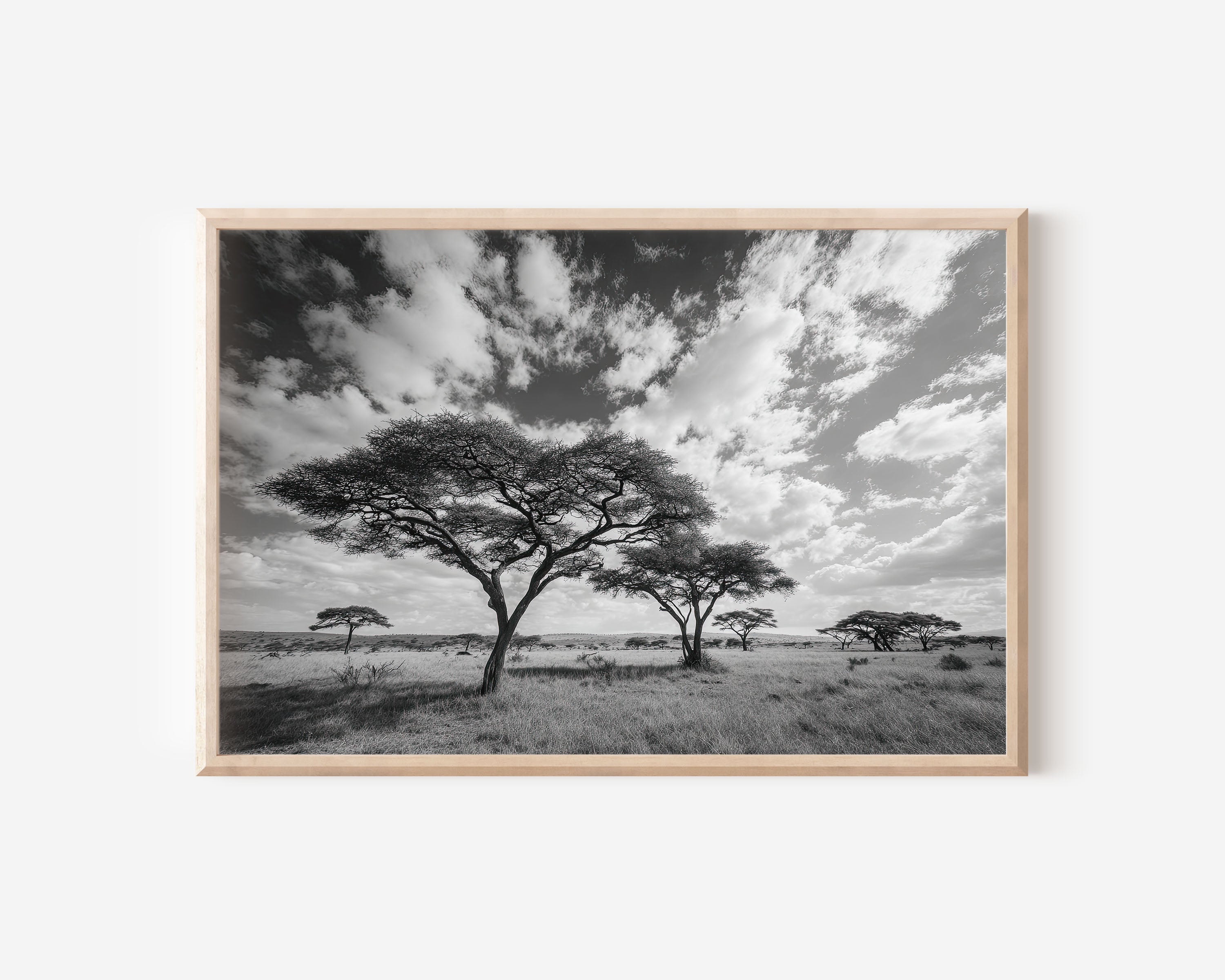 Serengeti Acacia Trees Black & White Wall Art