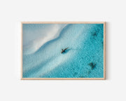Shark Wall Art Print – Aerial Ocean White Sand Canvas
