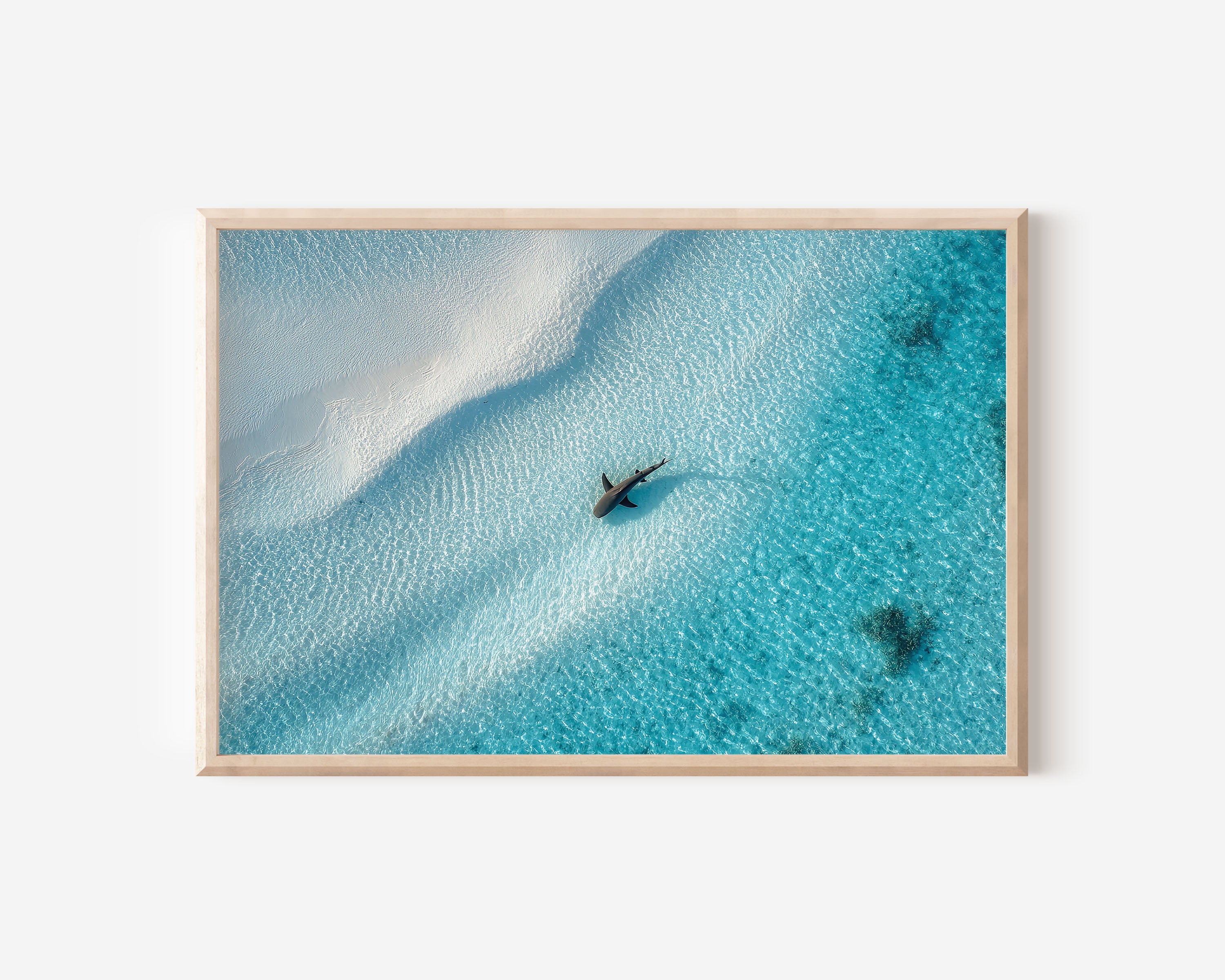 Shark Wall Art Print – Aerial Ocean White Sand Canvas