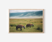 Silent Stalkers – Ngorongoro Hyenas Wall Art Print