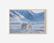 Silent Tundra – Svalbard Polar Bears Fine Art Print