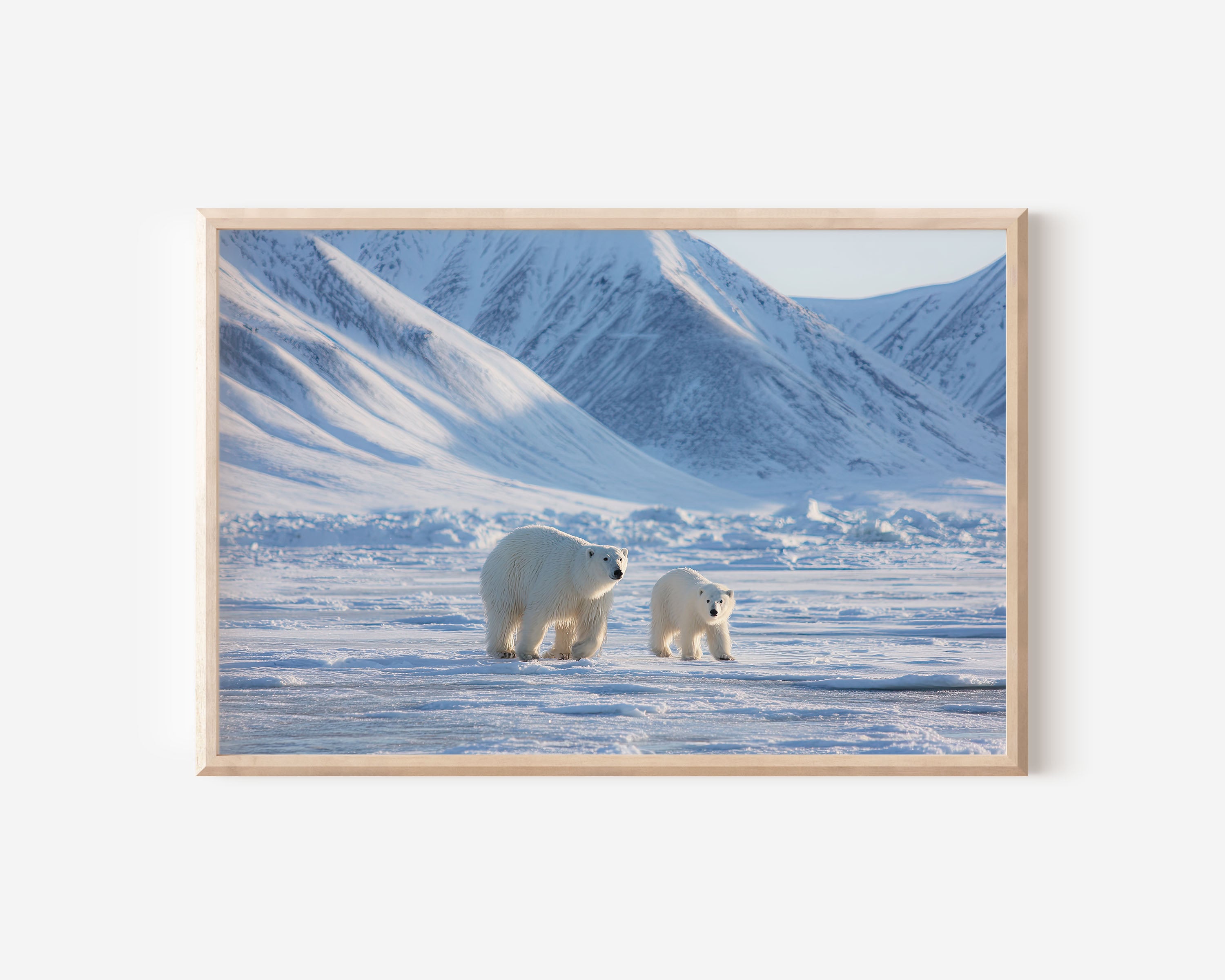 Silent Tundra – Svalbard Polar Bears Fine Art Print