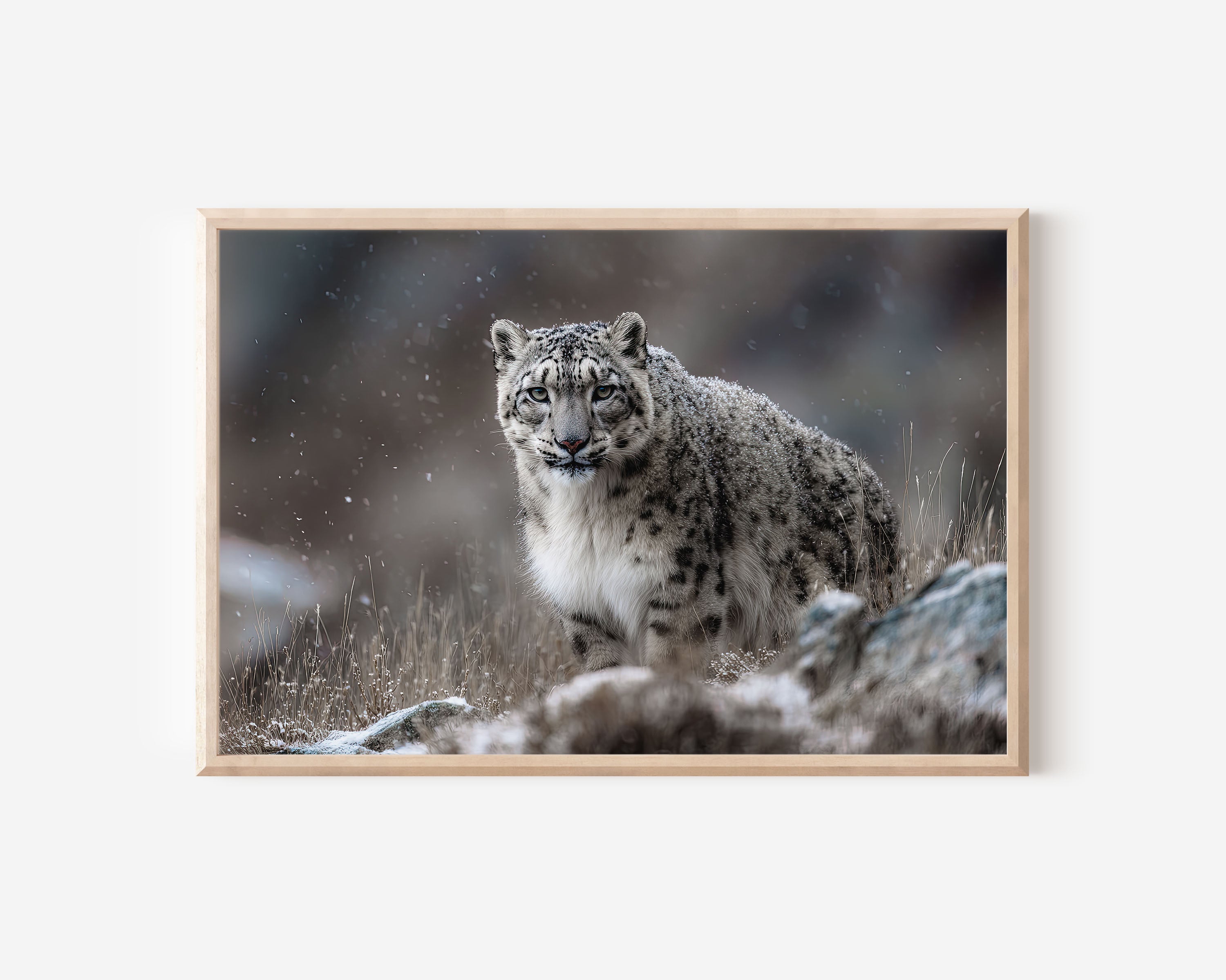Snow Leopard Wall Art Print – Winter Wildlife Canvas