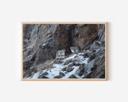 Snow Leopard Wall Art Print – Himalayan Mountain Wildlife Canvas