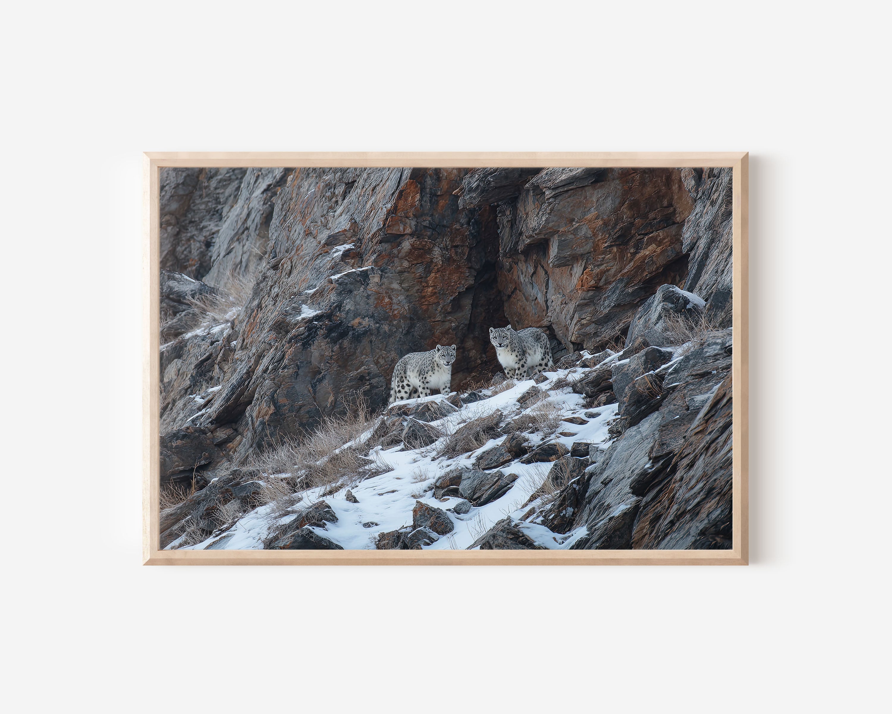 Snow Leopard Wall Art Print – Himalayan Mountain Wildlife Canvas