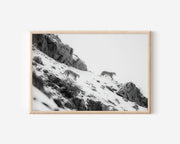 Snow Leopards in Snow Black & White Wall Art