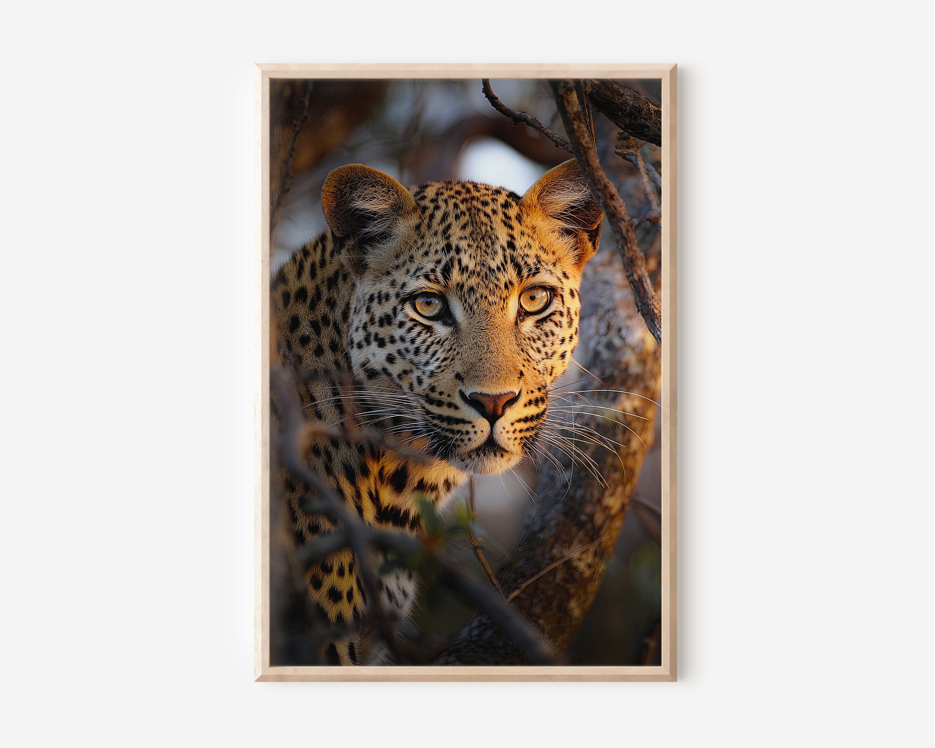 Leopard Close-Up Wall Art Print – Safari Wildlife Canvas & Framed Leopard Portrait Decor