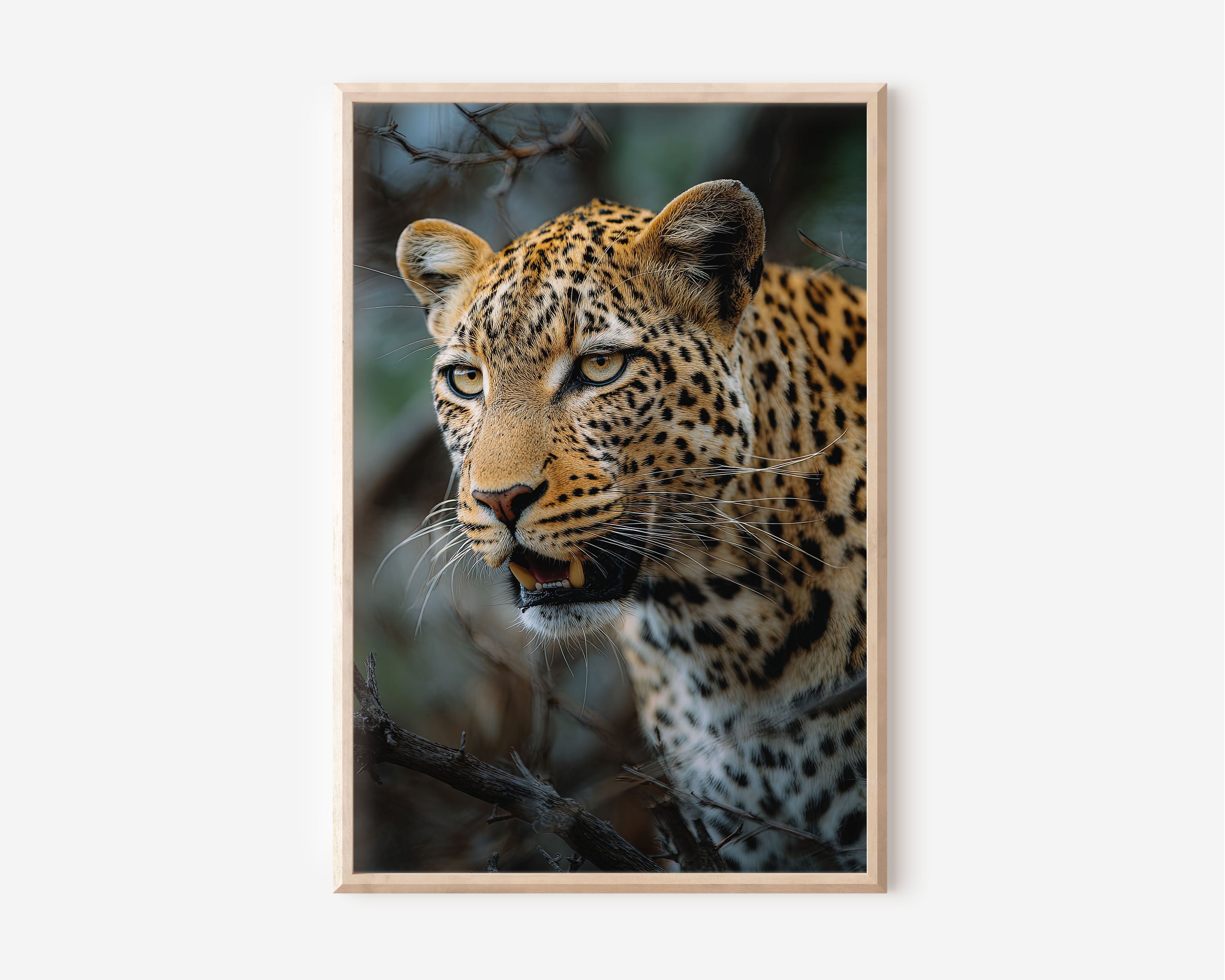 Stealth Leopard Wall Art – Safari Wildlife Canvas Print, Predator Close-Up Decor