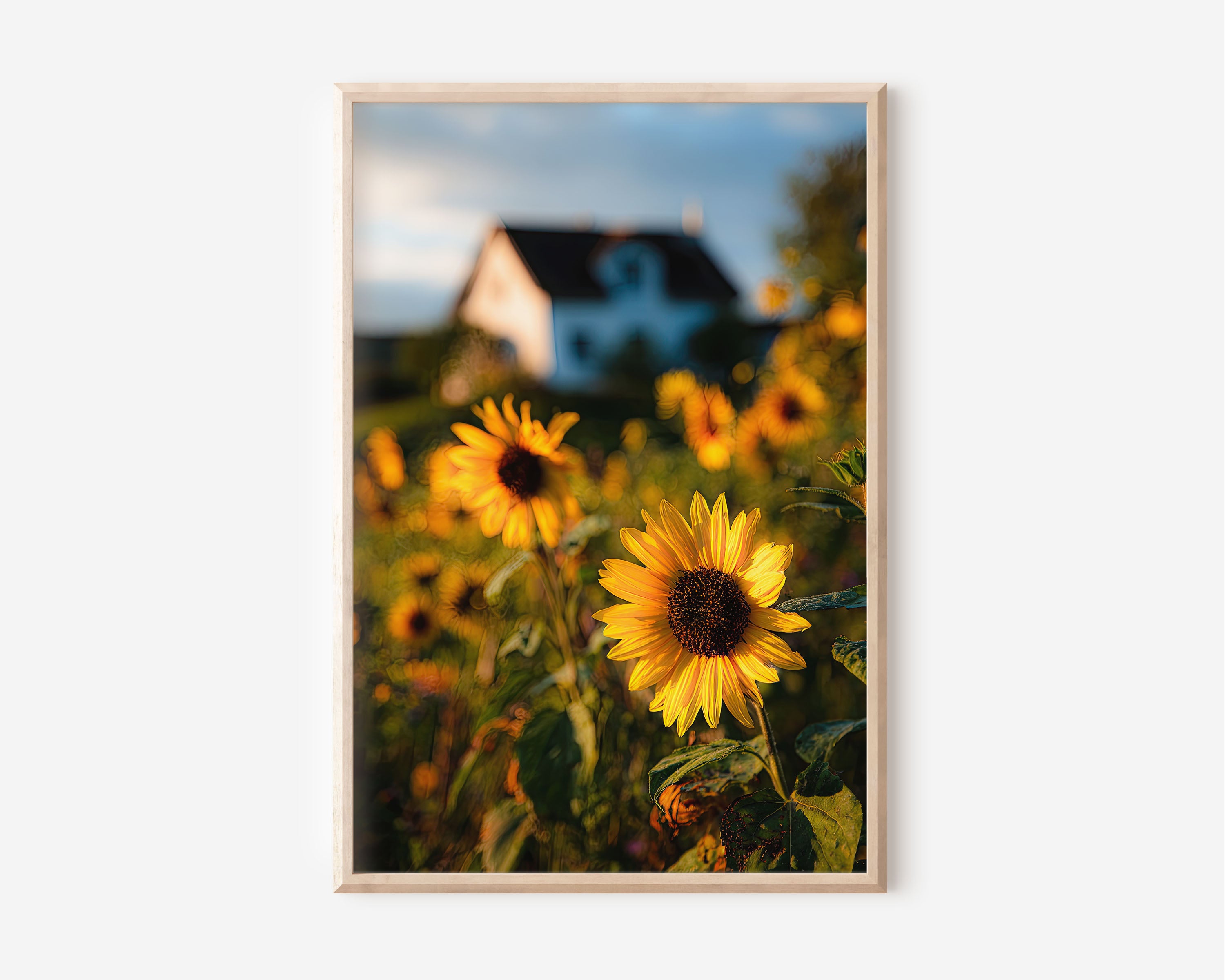 Sunflower Field Farmhouse Print | Sunflower Wall Art | Golden Sunflower Bokeh Landscape Photography Poster