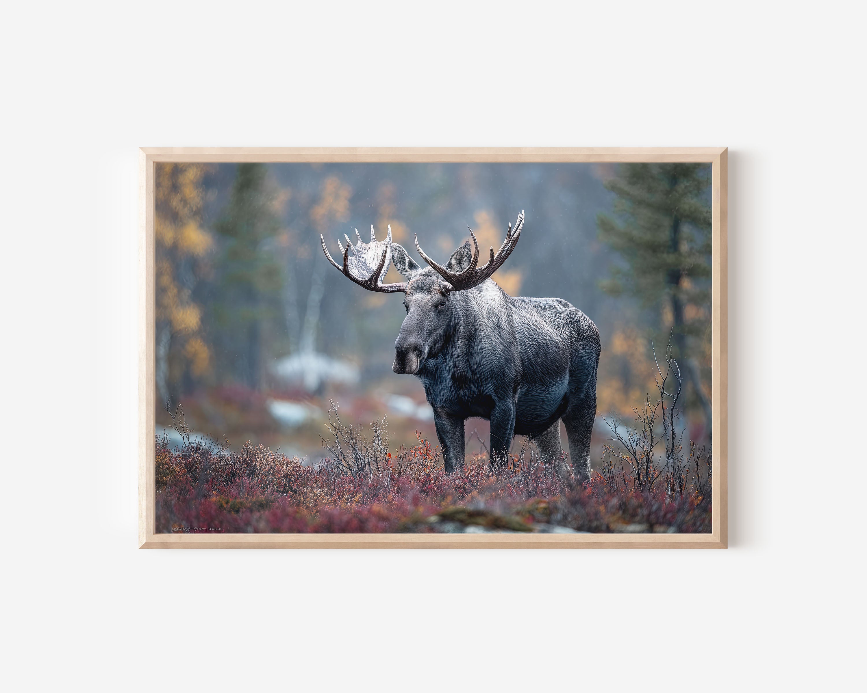 Sweden Moose Wall Art – Nordic Forest Wildlife Print