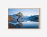 That Wanaka Tree Wall Art Print – Lake Wanaka New Zealand Reflection